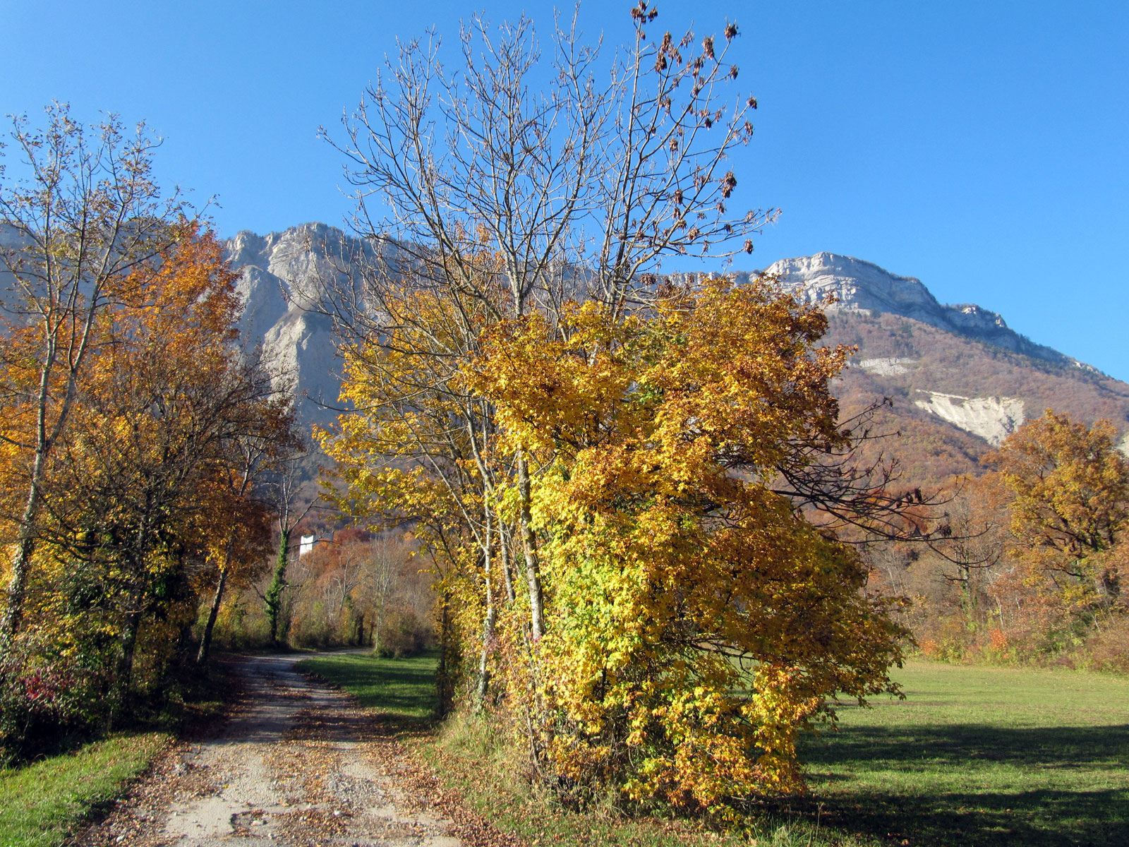 balade tour d'arces